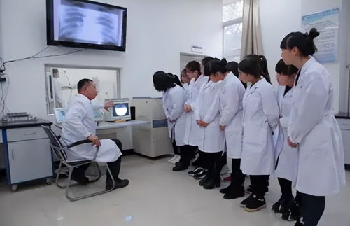 医学专业 受欢迎度 排名,口腔医学热度上升,榜首成为考生新宠