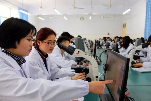 医学检验技术专业 直通湖北医药学院