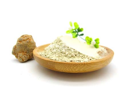 三七粉对降胆固醇有效果吗