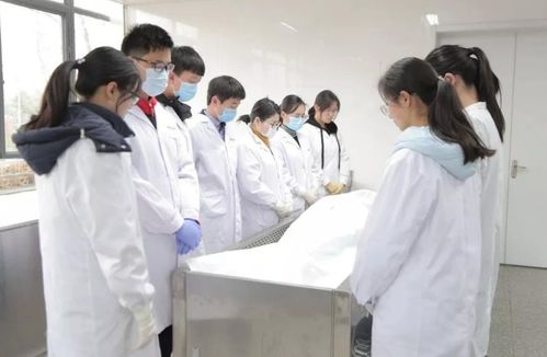 农村出身的孩子或寒门学子,既然怀揣医学之梦,就要勇于坚持
