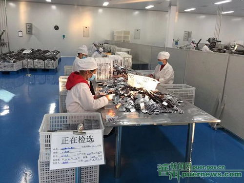 大唐汉方三款新产品即将上市