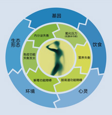 功能医学