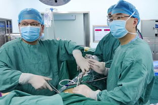 喜讯！宁阳籍医学专家博士团常态化坐诊，守护家乡人民健康